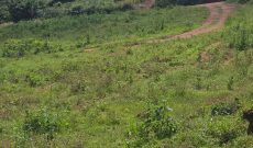 1 Acre Of Land For Sale In Kitende Makandwa At 300m
