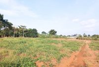 50x100ft Plots Of Land For Sale In Nakasajja At 33m Shillings