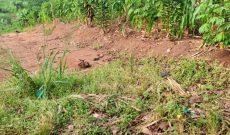 14 Decimals Plot Of Land For Sale In Namugongo Mbalwa At 80m Shillings