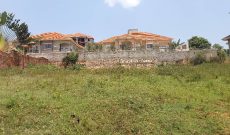 100x100ft Plot Of Land For Sale In Kira Nsasa At 150m Shillings