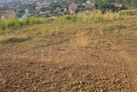 5 Acres Of Land For Sale In Lubowa Hill At 1.3 Billion Shillings Per Acre