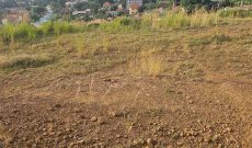 5 Acres Of Land For Sale In Lubowa Hill At 1.3 Billion Shillings Per Acre