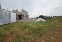 3 Plots Of Land For Sale In Butto Kiwanga Of 50x100ft At 75m Per Plot