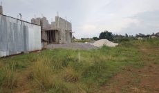 3 Plots Of Land For Sale In Butto Kiwanga Of 50x100ft At 75m Per Plot