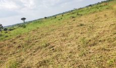 7 Square Miles Of FREEHOLD Land For Sale In Kayunga Bugerere At 5m Per Acre