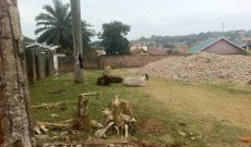 25 Decimals Plot Of Land For Sale In Mulago Off Mawanda Road 350m