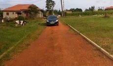 100x100ft Plot Of Land For Sale In Kira Nsasa At 180m Shillings