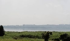 1 Acre Of Lake View Land For Sale In Garuga At 530m Shillings
