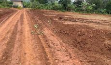 50x100ft Plots Of Land For Sale In Gobero Muguluka Wakiso Hoima Rd From 12m Shillings