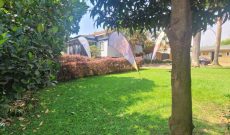 Commercial Plot Of Land Of Half Acre For Sale In Muyenga Stage At 700,000 USD