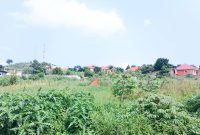 50x100ft Plot Of Land For Sale In Sonde Hill View At 65m Shillings