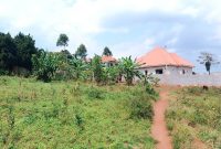 Half Acre - 50 Decimals Plot Of Land For Sale In Sonde Namugongo Hill At 260m Shillings