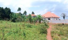 Half Acre - 50 Decimals Plot Of Land For Sale In Sonde Namugongo Hill At 260m Shillings