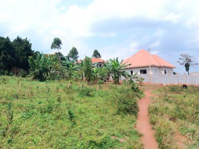 Half Acre - 50 Decimals Plot Of Land For Sale In Sonde Namugongo Hill At 260m Shillings