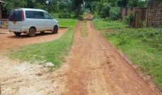 3 Plots Of 50x100ft For Sale Behind Bugema University At 35m Per Plot