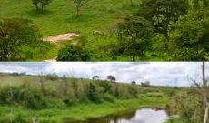 2.5 Square Miles Of Land For Sale In Kazo Kiruhura District At 18.5m Shillings Per Acre