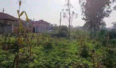 30 Decimals Plot Of Land For Sale In Namugongo Mbalwa Road At 150m