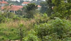 50x100ft Plot Of Land For Sale In Namugongo Jinja Misindye At 55m Shillings