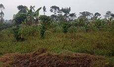 4 Acres Of Land For Sale In Kyetume Ntale Kityabule Mukono At 75m Shillings Per Acre
