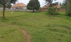 4 Plots Of 50x100ft For Sale In Kiti Kasangati Off Matugga Road At 50m Shillings Per Plot