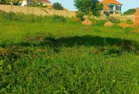 100x100ft Plot Of Land For Sale In Sekiwunga Entebbe Road At 160m Shillings