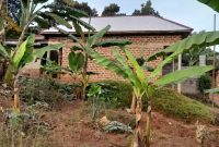House For Sale In Nakawuka Ngongolo Measuring 50x50ft At 18m Shillings