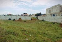 13 Decimals Plot Of Land For Sale In Kira Nsasa At 60m Shillings