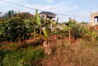 50x100ft Plot Of Land For Sale In Kira Nsasa At 57m Shillings