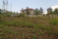 12 Plots Of 50x100ft Each For Sale In Nsasa Nabusugwe At 45m Per Plot
