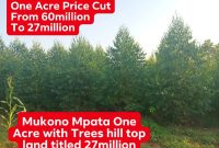 1 Acre Of Land For Sale In Mukono Mpata With Eucalyptus Trees At 27m Ugx