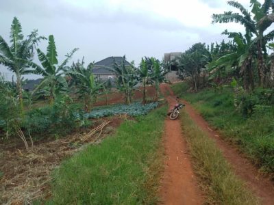 50x100ft Plot Of Land For Sale In Nabusugwe At 27m Ugx