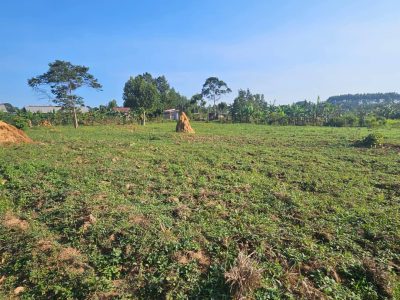 2 Square Miles Of Freehold Farm Land On River Kagera In Kyotera District At 4m Per Acre