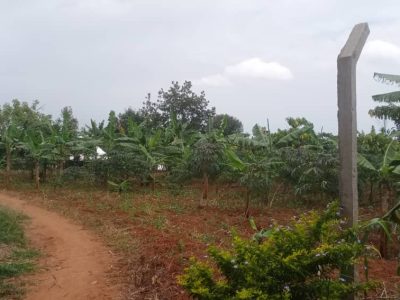 100x100ft Plot Of Land For Sale In Nakawuka Ziba At 50m Ugx