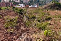 50x100ft Plot Of Land For Sale In Nsasa Kira At 48m Ugx
