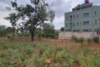 100x100ft Plot Of Land For Sale In Kyanja At 330m Ugx