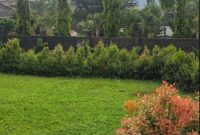 1 Acre Of Land For Sale In Lubowa Posh Neighborhood At 1.1 Billion Ugx