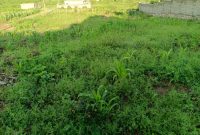 25 decimals plot of land for sale in Kira at 100m