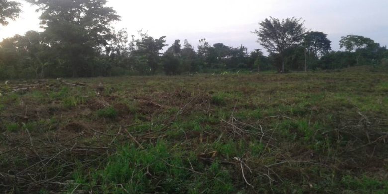 Farm Land for sale in Zirobwe