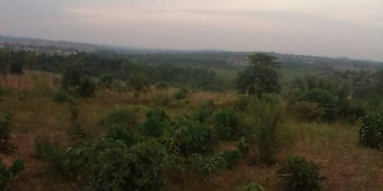 land for sale in Nakasajja konero Mukono