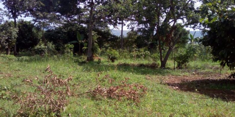 land for sale in Buikwe district 6m per acre