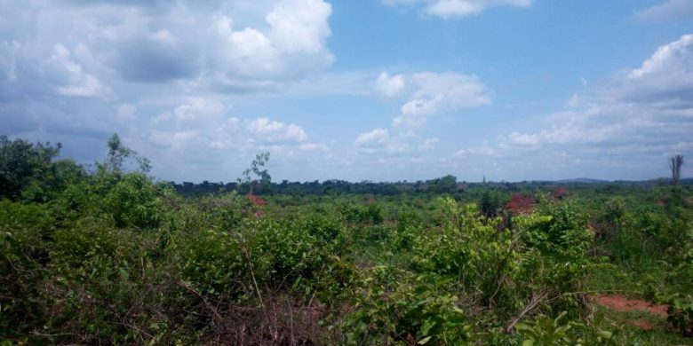 578 acres of lanf for sale in Kakoge Luwero at 1.8m per acre