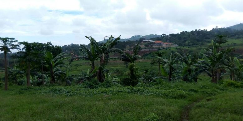 Land for sale in Namataba Jinja Road