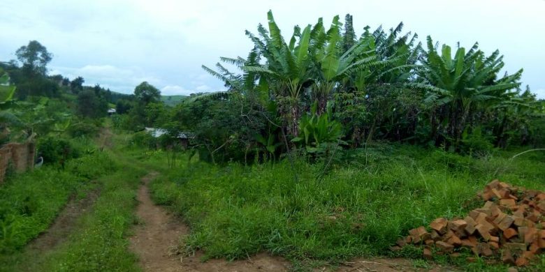 16 acres for sale in Namagunga Jinja Road 80 per acre