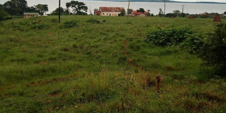 Lake Shore land for sale in Bugiri Entebbe Road 300m each