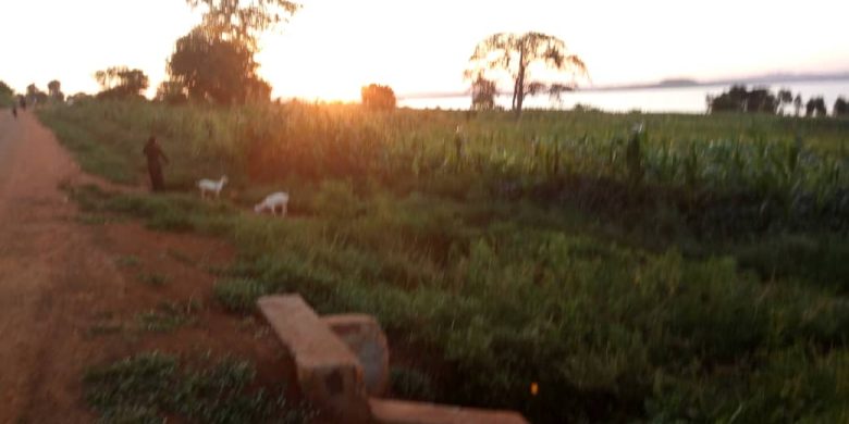 Locals on road, land is to right.