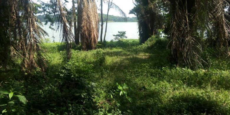 Waterfront land for sale in Bugiri 90 acres