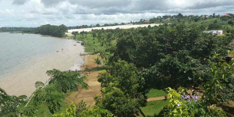6 acres beachfront garden for sale at 200m per acre