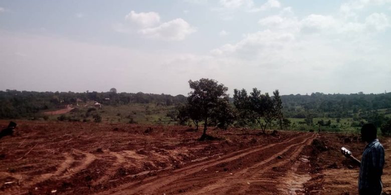 15 decimals Plots for sale in Kyanja 100m