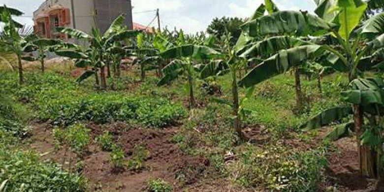 50x100ft plot of land for sale in Namugongo 80m