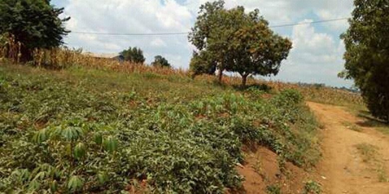 40 decimals for sale in Sonde at 160m near tarmac